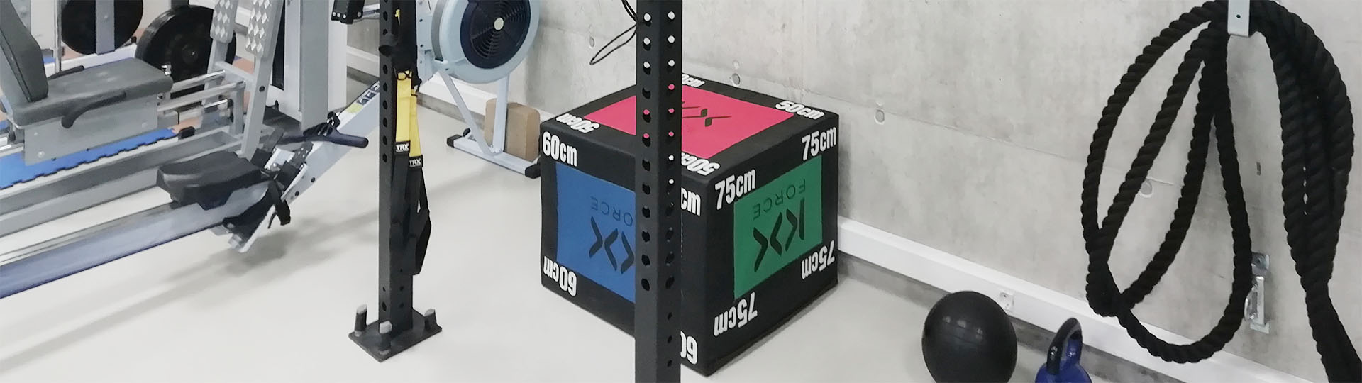 fotografía general gimnasio